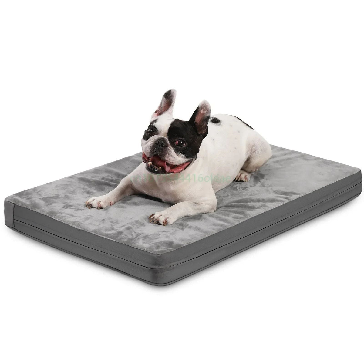 Your Frenchie’s Everyday Essentials: A Simple Guide to Walks, Play and Rest
